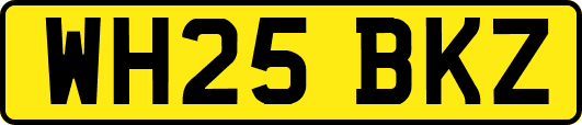WH25BKZ