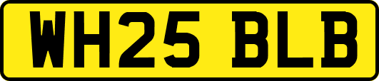 WH25BLB