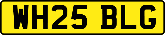 WH25BLG
