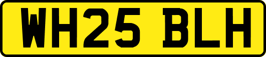 WH25BLH