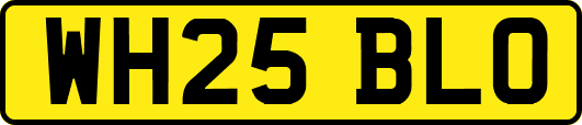 WH25BLO