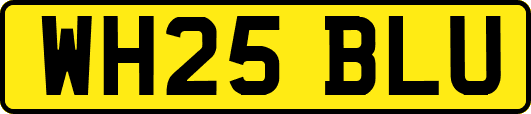WH25BLU