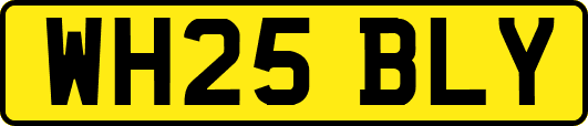 WH25BLY