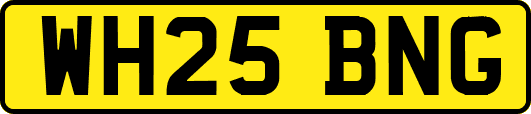 WH25BNG