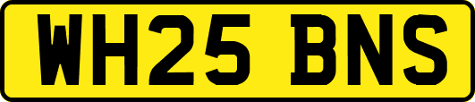 WH25BNS