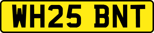 WH25BNT