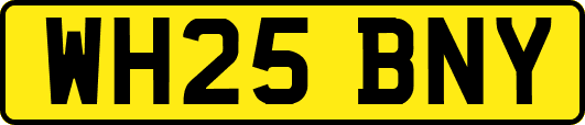 WH25BNY