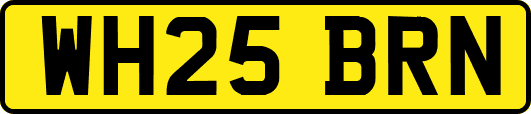 WH25BRN