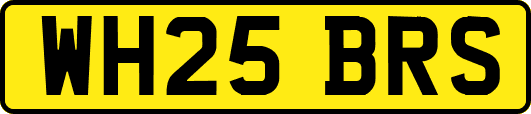 WH25BRS