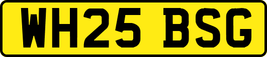 WH25BSG