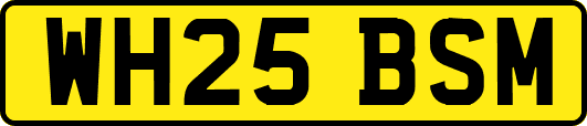 WH25BSM