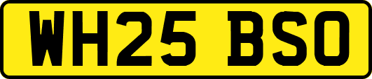 WH25BSO