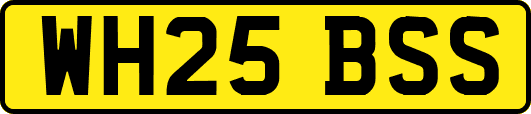 WH25BSS