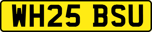 WH25BSU