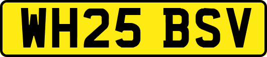 WH25BSV
