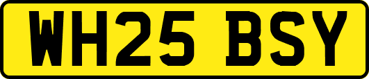 WH25BSY
