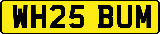 WH25BUM