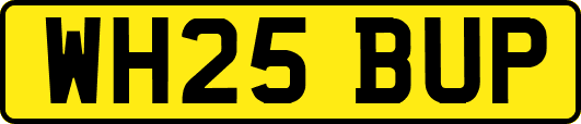WH25BUP