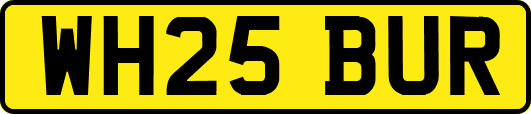 WH25BUR