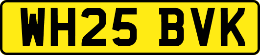 WH25BVK