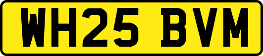WH25BVM