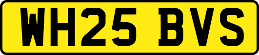 WH25BVS