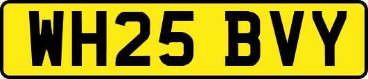 WH25BVY