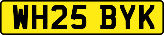 WH25BYK