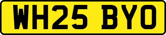 WH25BYO