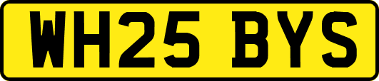 WH25BYS