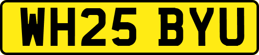WH25BYU