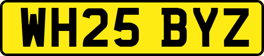 WH25BYZ