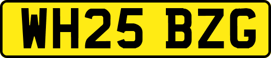 WH25BZG