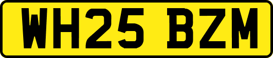 WH25BZM