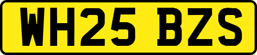 WH25BZS
