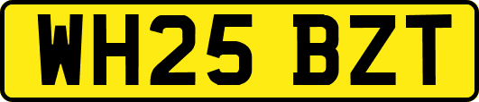 WH25BZT