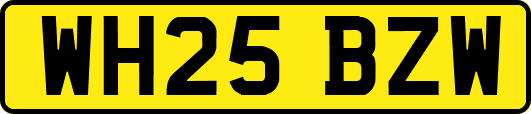 WH25BZW