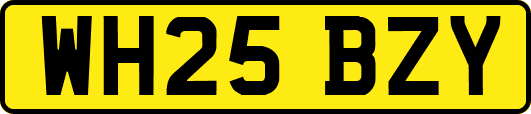 WH25BZY