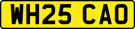 WH25CAO