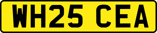 WH25CEA