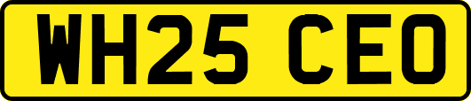 WH25CEO
