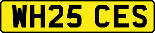WH25CES