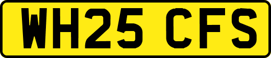 WH25CFS