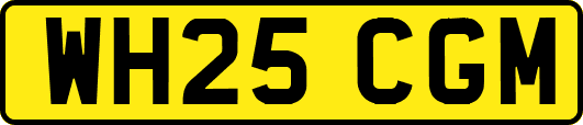 WH25CGM