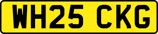 WH25CKG