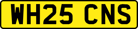 WH25CNS