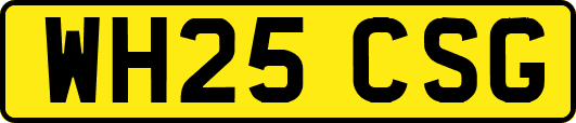 WH25CSG
