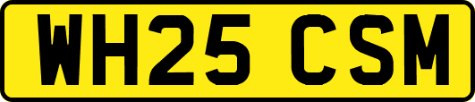 WH25CSM