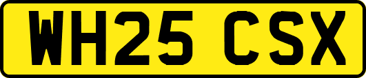 WH25CSX