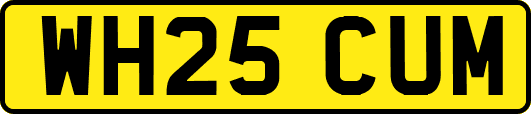 WH25CUM